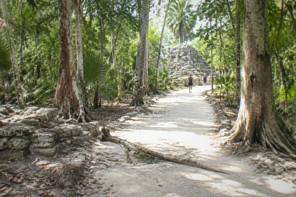 A sandy jungle path winding between tall trees toward distant stone ruins