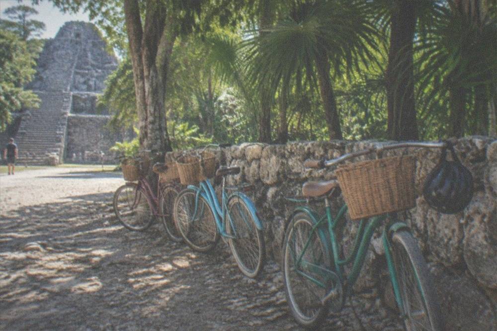A group of bicycles parked beside a stone ruin in a jungle clearing