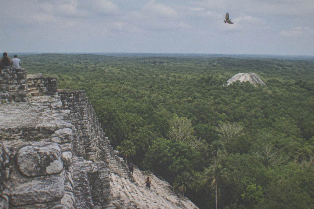 Ancient stone pyramid rising above dense jungle canopy under a bright sky
