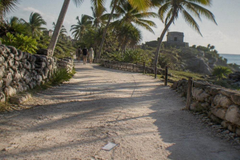 Entrance pathway to the Tulum archaeological zone lined with low stone walls and palm trees