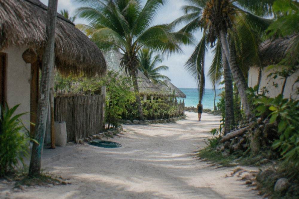 White sand beach with turquoise water and palm trees along the Tulum hotel zone