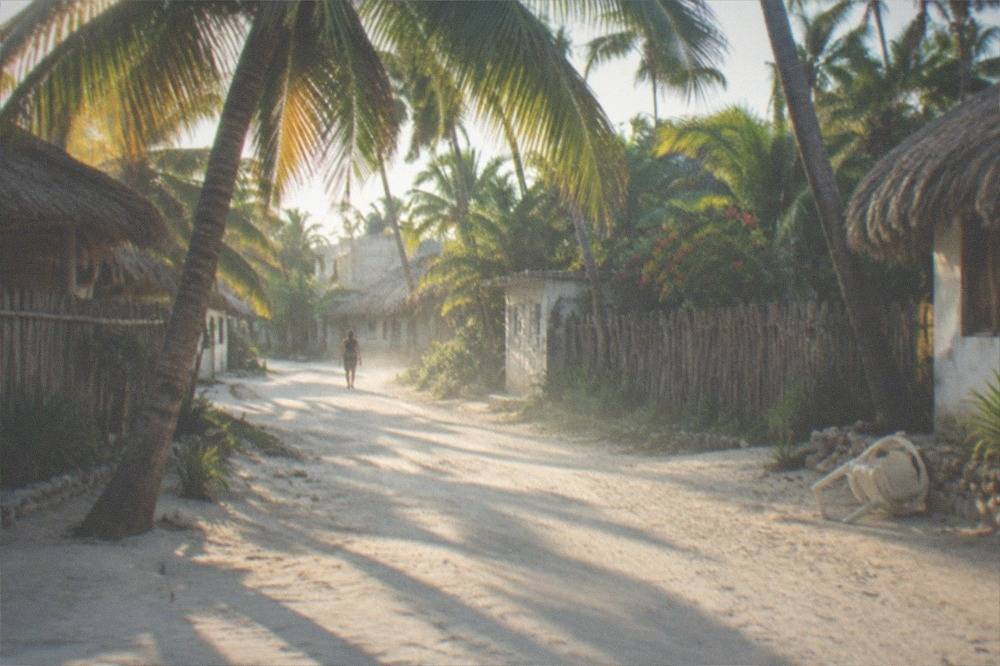 Palm trees and a quiet sand path in Tulum in morning light