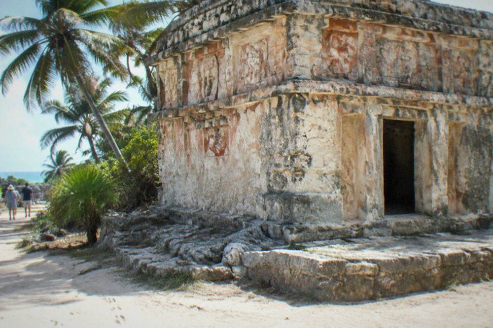 Low stone temple with carved stucco details among palm trees at a Mayan site