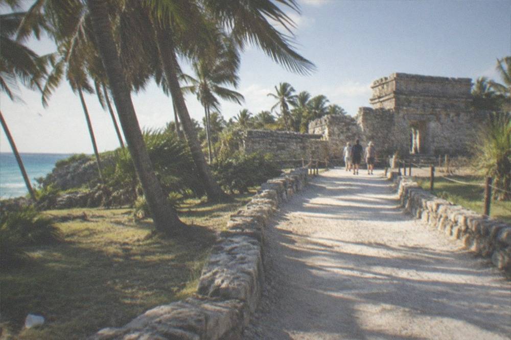 Palm-lined stone path leading toward a Mayan ruin entrance in morning light