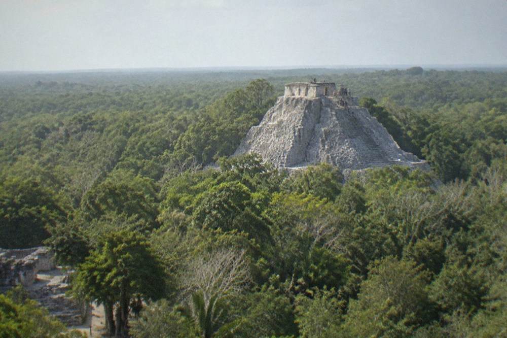 Tall stone pyramid rising above dense green jungle canopy