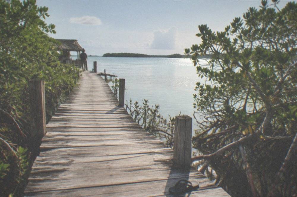 Wooden walkway leading through mangroves toward a calm lagoon