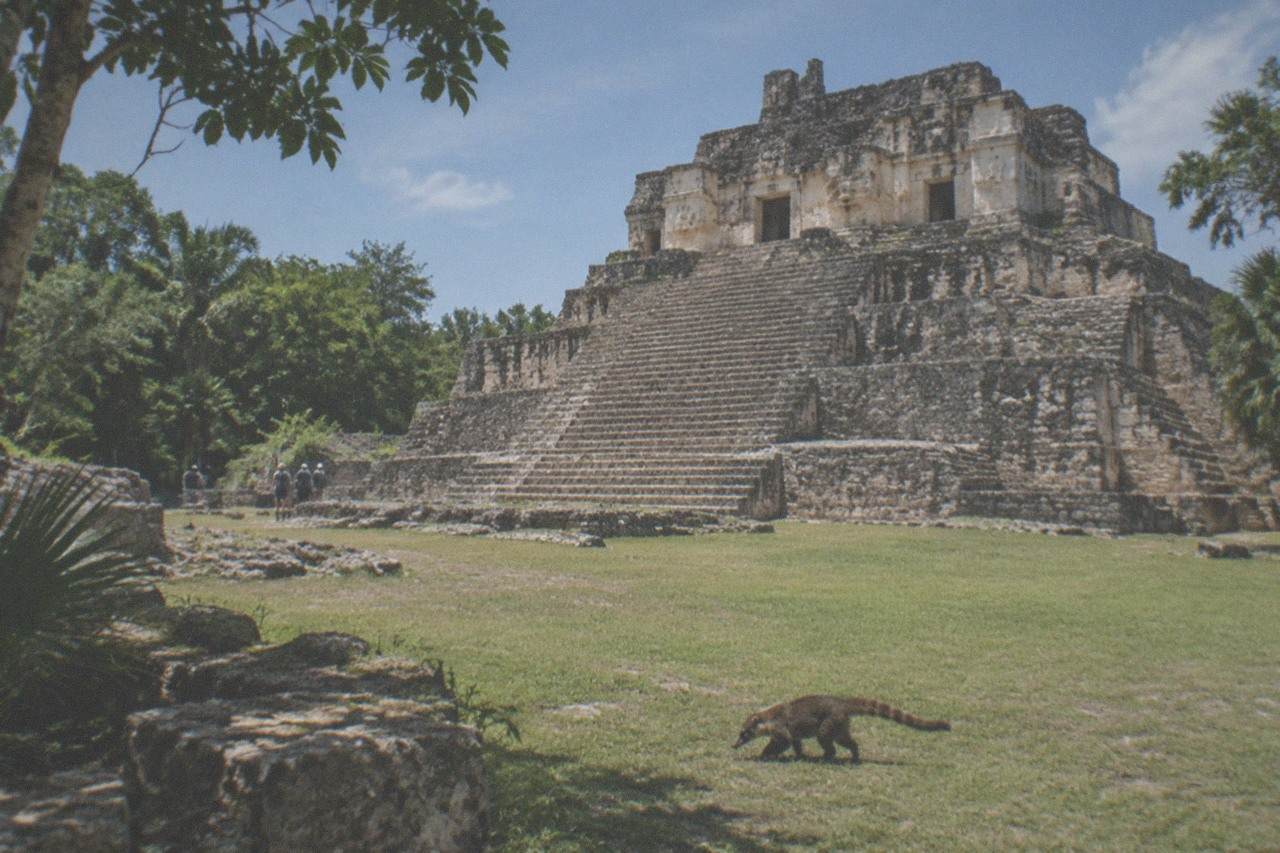 Stone Mayan pyramid rising above a grassy clearing under a bright sky