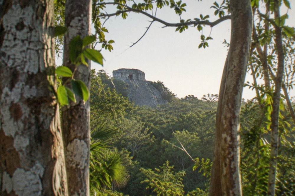 A tall stone Mayan pyramid rising above dense green jungle under a bright sky