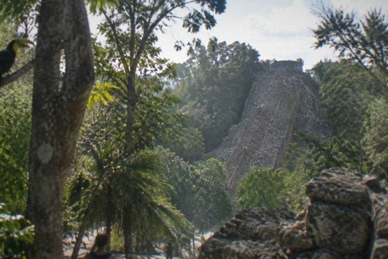 The jungle pyramid of Coba's Nohoch Mul rising above the tree canopy near Tulum