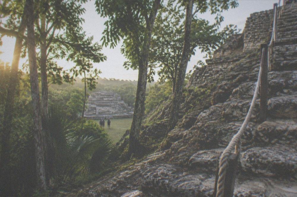 Early morning light on the stone stairway of a Maya pyramid surrounded by trees