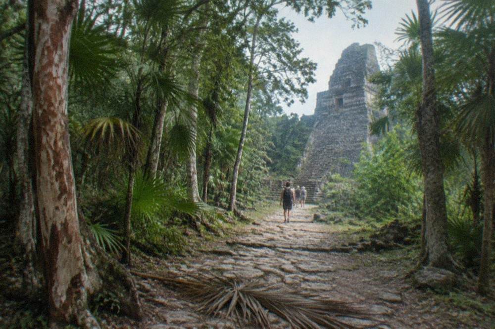 A jungle path leading to weathered stone Mayan ruins under tall trees