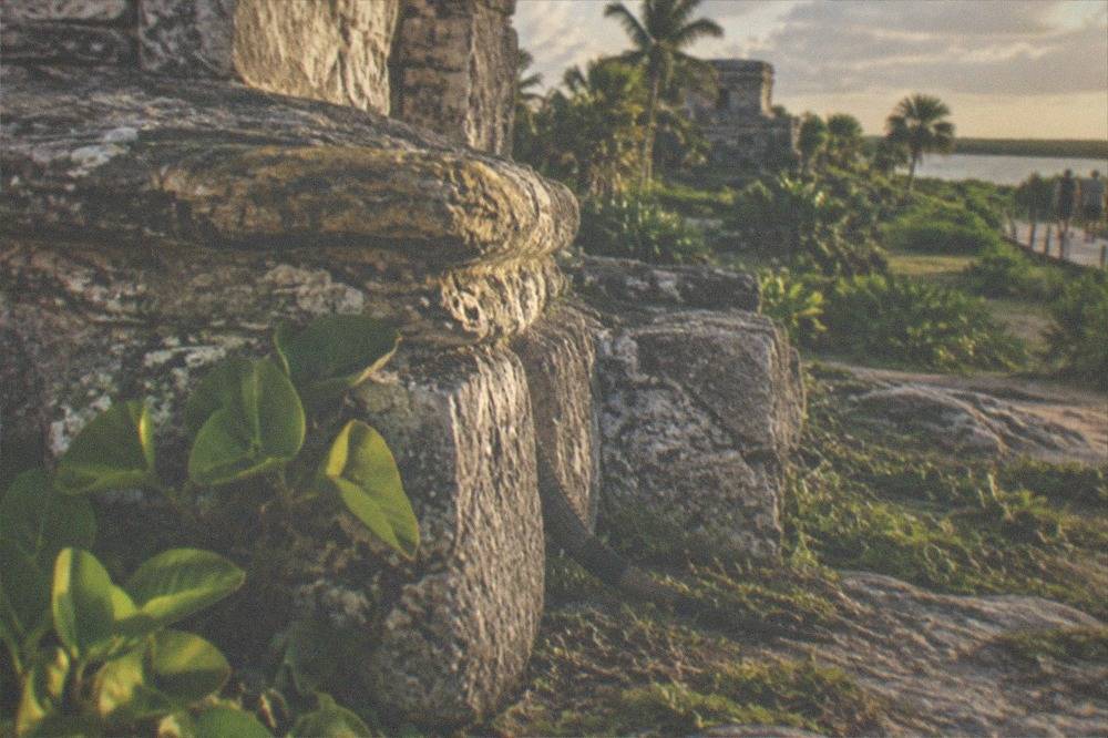 A stone Maya temple platform with carved details set among trees and low plants