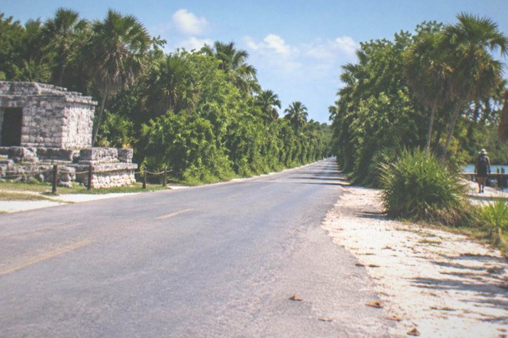 A quiet paved road leading through tropical forest toward a small site entrance