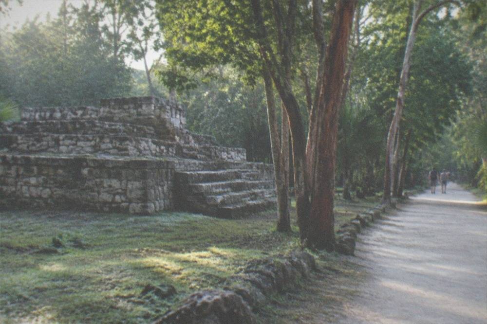 A quiet stone ruin platform beside a jungle path in morning light
