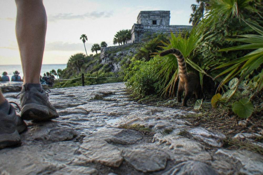 Sturdy walking shoes on the stone pathway beneath the walls of the Tulum archaeological zone